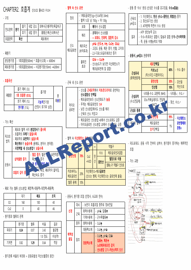 생리학 요약본(시험관련) 카셉운동사 (2 페이지)